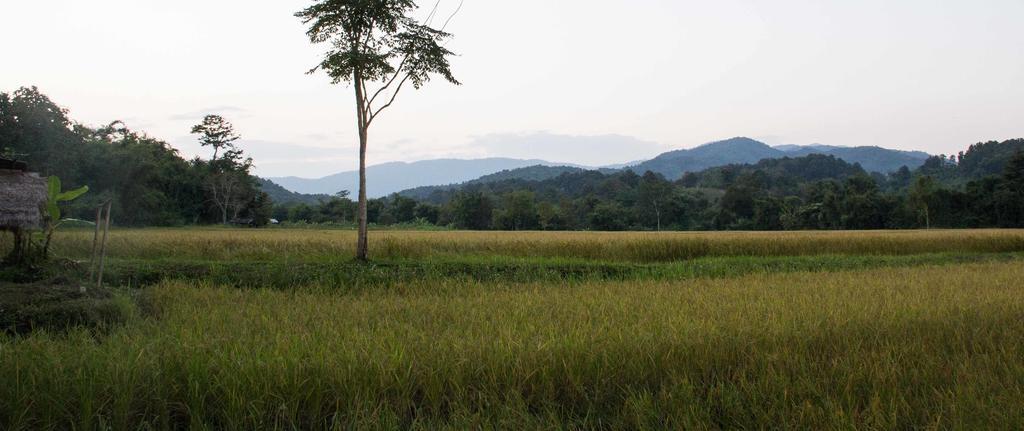 Bambuh Boutique Homestay Chiang Rai Buitenkant foto