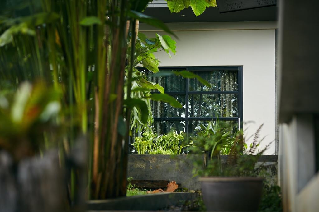 Bambuh Boutique Homestay Chiang Rai Buitenkant foto