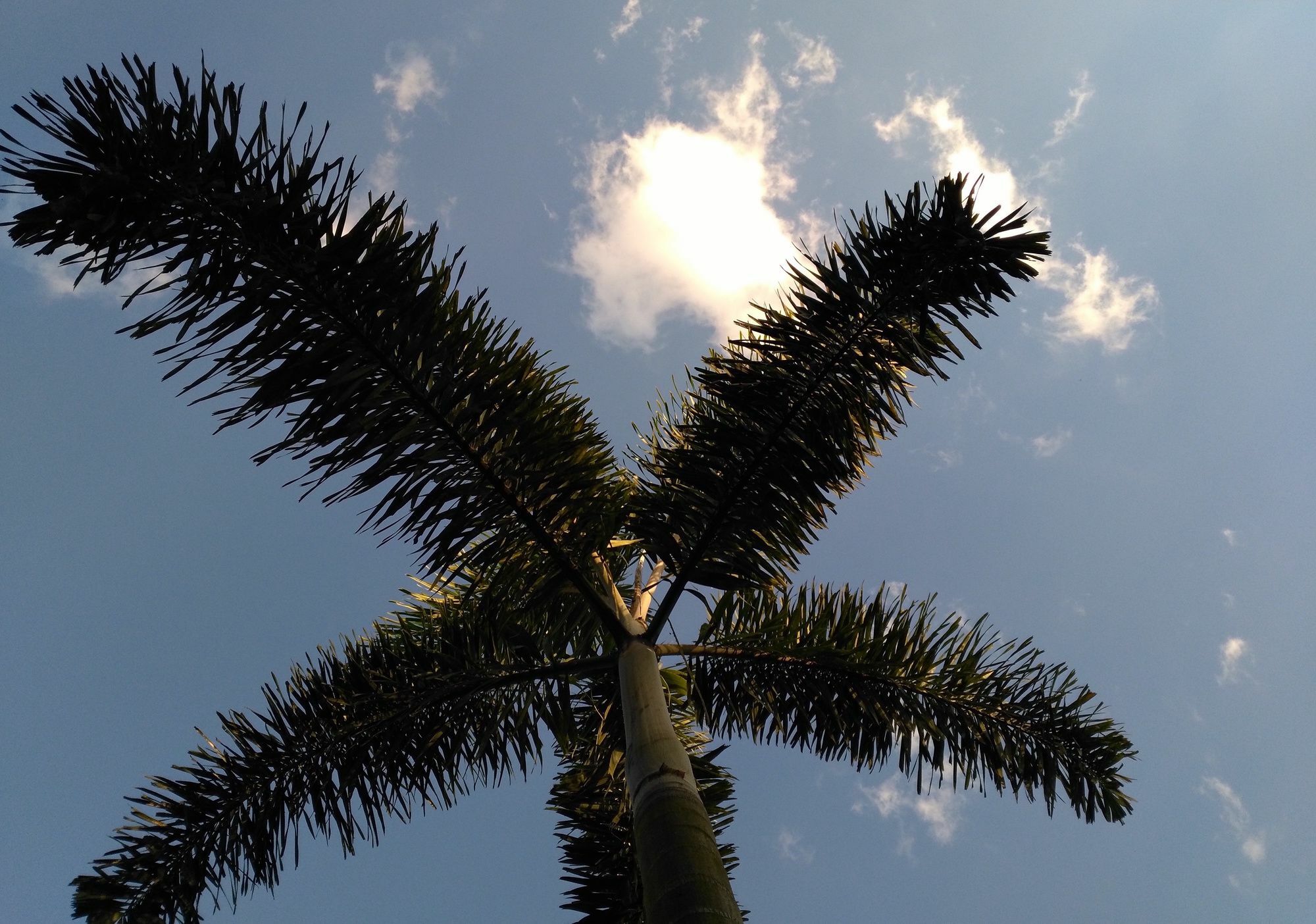 Bambuh Boutique Homestay Chiang Rai Buitenkant foto